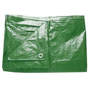 Apsauginis tentas 8x 12m, 65 g/m2