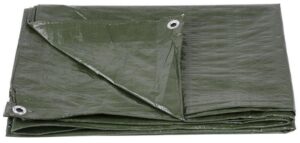 Apsauginis tentas 6 x 10m, 70g/m2